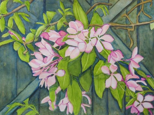 Akvarell spaljerad appelträd i blom.jpg
