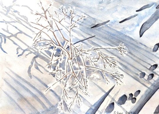 Akvarell - kvällsskuggor och spår i snön.jpg