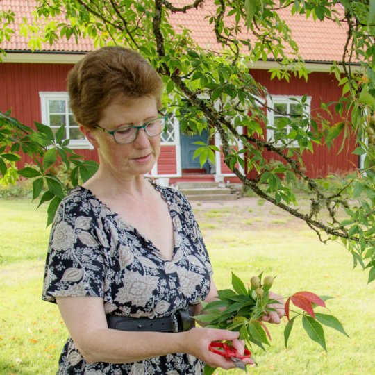 Kvinnan bakom Sehler Keramik - Susanne Enøe Hansen.jpg